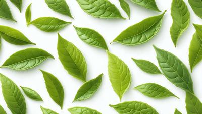 The primary subject of the image is a large number of green leaves arranged in various positions. The leaves are spread across the entire image, covering the entire background. The visual style of the image is a close-up of the leaves, showcasing their intricate details. The colors and mood of the image are predominantly green, creating a serene and natural atmosphere.
