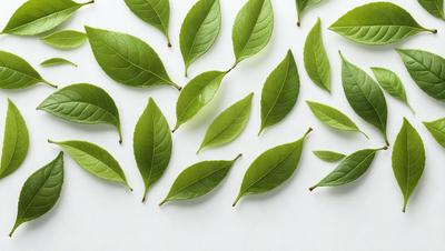 The primary subject of the image is a collection of green leaves, which are arranged in various positions on a white background. The leaves are spread out across the background, creating a visually appealing and natural scene. The visual style of the image is a close-up of the leaves, showcasing their intricate details and textures. The colors and mood of the image are predominantly green, which adds a sense of freshness and tranquility to the scene.