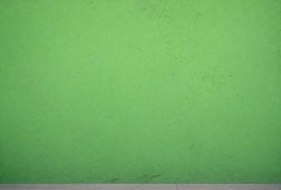 The primary subject of the image is a green wall. The setting is a room with a green wall, and the visual style is a photo. The dominant colors are green, and the overall atmosphere is clean and fresh.