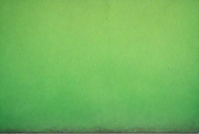 The primary subject of the image is a large, green wall. The setting is a plain, empty room with no other objects or people visible. The visual style is a close-up of the green wall, which gives a sense of depth and texture. The colors and mood of the image are predominantly green, creating a calm and serene atmosphere.