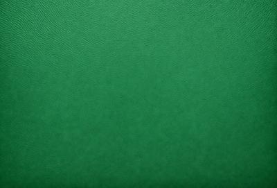 The primary subject of the image is a green background. The setting is a large, unoccupied space with a green surface. The visual style is a close-up of the green background, which gives a sense of depth and texture. The colors and mood are predominantly green, creating a calm and serene atmosphere.