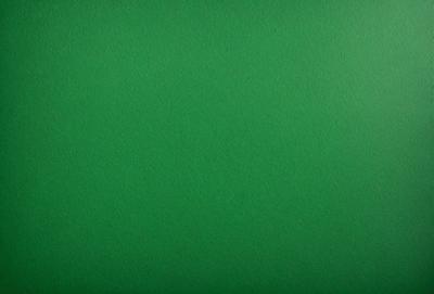 The primary subject of the image is a large, bright green surface. The setting is a green background, which creates a vibrant and lively atmosphere. The visual style of the image is a close-up of the green surface, showcasing its vivid color and texture. The colors and mood of the image are predominantly green, giving it a fresh and invigorating appearance.