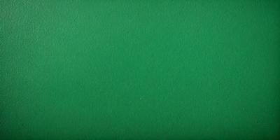 The primary subject of the image is a green wall. The setting is a room with a green background. The visual style is a photo of a green wall. The dominant colors are green, and the overall atmosphere is calm and serene.