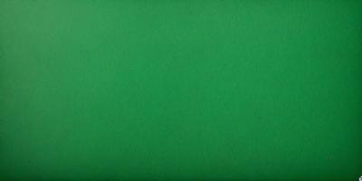 The primary subject of the image is a large, bright green background. The setting is a plain, uncluttered space, with no visible objects or people. The visual style is a close-up of the green background, which gives a sense of depth and focus to the image. The colors and mood are predominantly green, creating a calm and serene atmosphere.