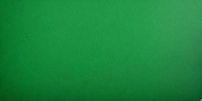 The primary subject of the image is a large, bright green background. The setting is a plain, empty space with no visible objects or people. The visual style is a close-up of the green background, which gives a sense of depth and texture to the image. The colors and mood are predominantly green, creating a calm and serene atmosphere.