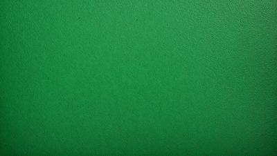 The primary subject of the image is a large, bright green surface. The setting is a green background, which creates a vibrant and lively atmosphere. The visual style is a close-up of the green surface, showcasing its vivid color and texture. The colors and mood of the image are predominantly green, with a sense of freshness and energy.
