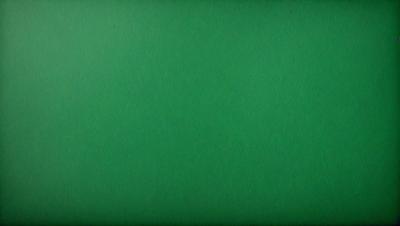 The primary subject of the image is a green background. The setting is a large, empty space with no visible objects or people. The visual style is a close-up of the green background, which appears to be a piece of paper or a fabric. The colors and mood of the image are predominantly green, creating a calm and serene atmosphere.