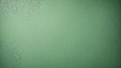 The primary subject of the image is a green background. The setting is a plain, green wall, and the visual style is a photo. The colors and mood of the image are predominantly green, creating a calm and serene atmosphere.
