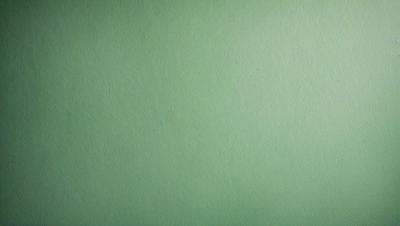 The primary subject of the image is a green wall. The setting is a plain, green background. The visual style is a photo. The colors and mood are predominantly green, creating a calm and serene atmosphere.