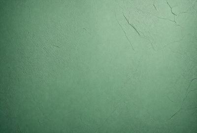The primary subject of the image is a green wall with a textured surface. The setting is a room with a green wall, and the visual style is a close-up of the wall. The colors and mood of the image are predominantly green, creating a calm and soothing atmosphere.