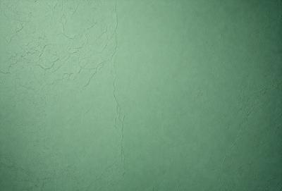 The primary subject of the image is a green wall with a textured surface. The setting is a room with a green wall, and the visual style is a close-up of the wall. The colors and mood of the image are predominantly green, creating a calm and soothing atmosphere.