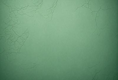 The primary subject of the image is a green background with a pattern of white lines. The setting appears to be a wall or a piece of paper with the white lines. The visual style is a close-up of the green background, which gives the image a clean and minimalist appearance. The colors and mood of the image are predominantly green, with the white lines adding a touch of contrast and visual interest.