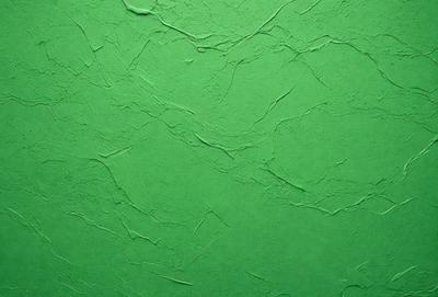 The primary subject of the image is a green wall with a textured surface. The setting is a room with a green wall, and the visual style is a close-up of the wall. The colors and mood of the image are predominantly green, creating a calm and soothing atmosphere.