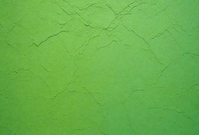 The primary subject of the image is a green wall with a textured surface. The setting is a room with a green wall, and the visual style is a close-up of the wall. The dominant colors are green, and the overall atmosphere is calm and serene.