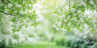 The primary subject of the image is a tree with white flowers. The tree is surrounded by a lush green environment, which adds to the overall atmosphere of the scene. The visual style of the image is a photo, capturing the beauty of the tree and its flowers in their natural setting. The colors and mood of the image are predominantly green and serene, with the white flowers adding a touch of elegance and purity to the scene.