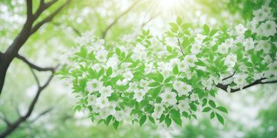 The primary subject of the image is a tree filled with white flowers. The tree is surrounded by a lush green environment, creating a serene and peaceful atmosphere. The visual style of the image is a close-up of the tree, showcasing the beauty of the white flowers. The colors and mood of the image are predominantly green and white, evoking a sense of tranquility and natural beauty.