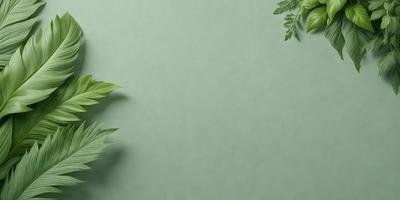 The primary subject of the image is a leafy plant, which is the main object in the scene. The plant is placed on a green background, which is the setting or backdrop of the image. The visual style of the image is a photo, capturing the natural beauty of the plant. The colors in the image are predominantly green, which gives the image a calm and serene atmosphere.