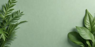 The primary subject of the image is a green leaf, which is prominently displayed in the foreground. The setting is a green wall, which serves as the background for the leaf. The visual style of the image is a photo, capturing the leaf in its natural environment. The colors and mood of the image are predominantly green, creating a calm and serene atmosphere.