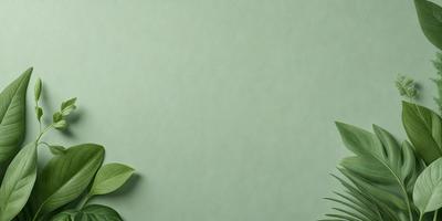 The primary subject of the image is a green wall with a leafy plant on it. The setting is a room with a green background, and the visual style is a photo. The dominant colors are green and white, creating a calm and natural atmosphere.