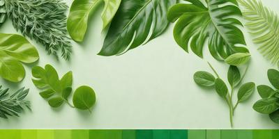 The primary subject of the image is a green leaf, which is prominently displayed in the foreground. The setting is a green wall, which serves as the background for the leaf. The visual style is a close-up of the leaf, showcasing its details. The colors and mood of the image are predominantly green, creating a calm and natural atmosphere.