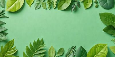The image features a green background with a variety of green leaves and plants. The leaves are arranged in a visually appealing manner, creating a sense of depth and dimension. The primary subject of the image is the greenery, which is the main focus and the setting for the scene. The visual style of the image is a combination of natural elements and a touch of artistic arrangement, giving it a unique and artistic appearance. The colors and mood of the image are predominantly green, which adds to the overall atmosphere of the scene