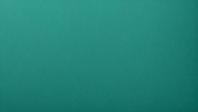 The primary subject of the image is a large, bright green surface. The setting appears to be a room with a green wall, and the visual style is a close-up of the green wall. The colors and mood of the image are predominantly green, creating a calm and serene atmosphere.