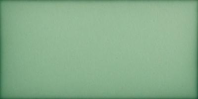 The primary subject of the image is a green wall. The setting is a room with a green wall, and the visual style is a photo. The colors and mood of the image are predominantly green, creating a calm and soothing atmosphere.