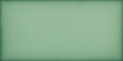 The primary subject of the image is a green background. The setting is a plain, unadorned surface. The visual style is a simple, uncluttered design. The colors and mood are predominantly green, creating a calm and serene atmosphere.