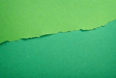 The primary subject of the image is a green background with a cut-out of a green sheet of paper. The paper is placed on the green background, creating a visually interesting contrast between the two colors. The setting appears to be a simple, flat surface with no additional elements or background. The visual style of the image is a combination of a photo and a cut-out, giving it a unique and artistic appearance. The colors and mood of the image are predominantly green, with a slightly contrasting cut-out of the