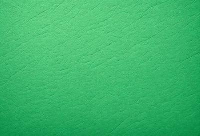 The primary subject of the image is a green surface, which appears to be a wall or a piece of fabric. The setting is indoors, and the visual style is a close-up of the green surface. The colors and mood of the image are predominantly green, creating a calm and soothing atmosphere.