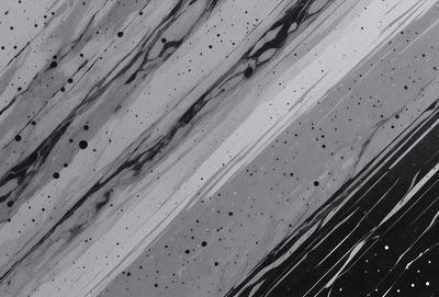 The primary subject of the image is a marbled pattern, which is the main object, scene, or focus of the image. The setting or background consists of a black and white color scheme, giving the image a classic and timeless appearance. The visual style is a combination of a photo and digital art, creating a unique and intricate design. The colors and mood of the image are predominantly black and white, with a touch of gray, giving it a sophisticated and elegant atmosphere.