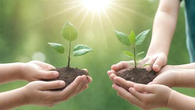 The primary subject of the image is a person holding two small plants in their hands. The plants are placed in dirt, and the person's hands are positioned around them. The setting appears to be an outdoor environment, with sunlight shining on the plants. The visual style of the image is a photo, capturing the person's interaction with the plants. The colors in the image are predominantly green, representing the plants and the natural environment. The overall atmosphere of the image is one of care and nurturing