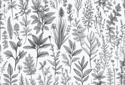 The primary subject of the image is a collection of various plants, including leaves and flowers. The setting is a white background, which provides a clean and minimalist appearance. The visual style is a combination of black and white illustrations and digital art, creating a unique and artistic representation of the plants. The colors and mood of the image are predominantly black and white, giving it a classic and timeless feel.