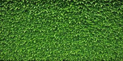 The primary subject of the image is a large, lush green plant with many leaves. The plant is the main focus of the image, and it is displayed in a close-up view. The setting is a green background, which complements the plant's vibrant color. The visual style is a photo, capturing the plant's natural beauty. The colors and mood of the image are predominantly green, creating a serene and calming atmosphere.
