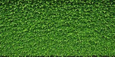 The primary subject of the image is a large green plant, which is the main focus of the scene. The plant is surrounded by a lush green background, creating a vibrant and natural atmosphere. The visual style of the image is a close-up of the plant, showcasing its intricate details and textures. The colors and mood of the image are predominantly green, which adds to the overall sense of freshness and vitality.
