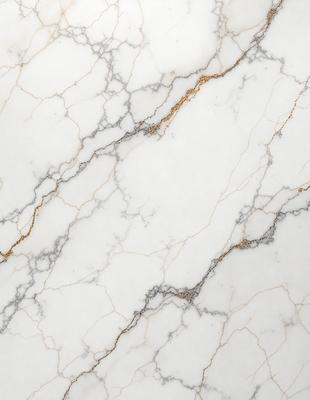 The primary subject of the image is a marble wall with a white and gold color scheme. The setting is a room with a white marble surface, which adds to the overall atmosphere. The visual style of the image is a close-up of the marble wall, showcasing its intricate patterns and textures. The colors and mood of the image are elegant and sophisticated, with the white marble providing a clean and timeless appearance.
