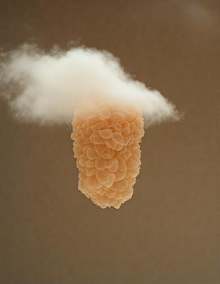 The primary subject of the image is a cloud, which is floating in the sky. The setting is a cloudy day, and the visual style is a photo. The cloud is the main focus of the image, and it appears to be a large, puffy cloud. The colors and mood of the image are predominantly gray and overcast, creating a somewhat gloomy atmosphere.