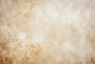 The primary subject of the image is a wall with a brown, textured surface. The setting is a room with a white background. The visual style is a photo, and the dominant colors are brown and white. The overall atmosphere is somewhat dull and unappealing.