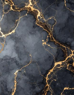 The primary subject of the image is a black and gold marble wall. The setting is a room with a black and gold marble wall, which serves as the background. The visual style is a close-up of the marble wall, showcasing its intricate patterns and textures. The dominant colors are black and gold, creating a luxurious and elegant atmosphere.