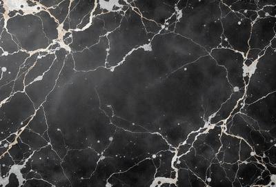 The primary subject of the image is a black and white marble pattern. The setting is a black and white marble wall, which serves as the background. The visual style is a close-up of the marble pattern, showcasing the intricate details of the design. The colors and mood of the image are predominantly black and white, giving it a classic and elegant appearance.