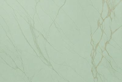 The primary subject of the image is a close-up of a green wall with a pattern of thin, curved lines. The setting is a room with a green wall, and the visual style appears to be a photo. The colors and mood of the image are predominantly green, creating a calm and soothing atmosphere.