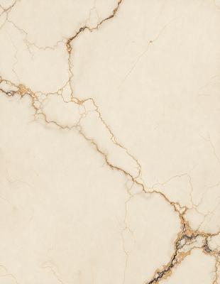 The image features a white marble wall with a gold-colored vein running through it. The wall appears to be a part of a building, possibly a bathroom or a kitchen. The gold vein adds a touch of elegance and sophistication to the otherwise plain white wall.