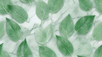 The image features a white marble surface with a variety of green leaves arranged on it. The leaves are spread out across the surface, creating a visually appealing and natural scene. The primary subject of the image is the green leaves, which are the main focus and the setting is the white marble surface. The visual style of the image is a combination of photo and digital art, as it captures the natural beauty of the leaves while also showcasing the marble surface. The colors and mood of the image are predominantly