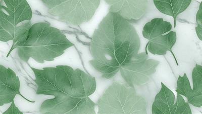The primary subject of the image is a close-up of green leaves, which are the main objects in the scene. The leaves are arranged on a white marble surface, creating a visually appealing contrast between the green leaves and the white background. The visual style of the image is a close-up of the leaves, showcasing their intricate details and textures. The colors and mood of the image are predominantly green, with a calm and serene atmosphere.
