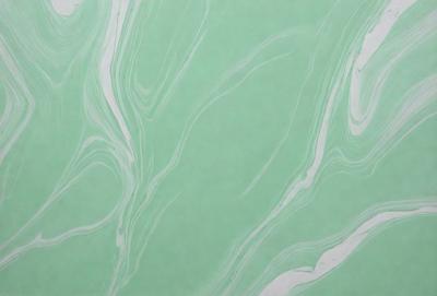 The primary subject of the image is a green and white patterned wallpaper. The setting is a wall, and the visual style is a patterned design. The dominant colors are green and white, creating a calm and soothing atmosphere.