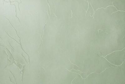 The primary subject of the image is a close-up of a green wall with a textured surface. The setting is indoors, possibly in a room with a green color scheme. The visual style appears to be a photo, capturing the intricate details of the wall. The colors and mood of the image are predominantly green, creating a calm and soothing atmosphere.