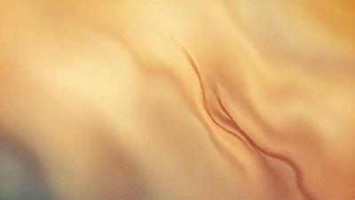 The primary subject of the image is a close-up of a woman's vagina. The setting is a bed, and the visual style is a digital art illustration. The colors are predominantly orange, and the mood is intimate and sensual.