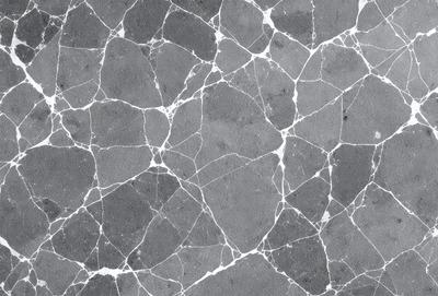 The image features a gray and white marbled wall with a pattern of white and gray dots. The wall appears to be made of stone or a similar material, giving it a textured and natural appearance. The overall atmosphere of the image is calm and serene, with the marbled wall serving as a striking visual element.
