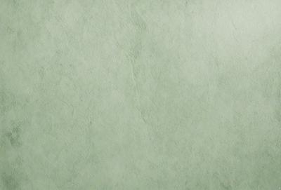 The primary subject of the image is a green wall with a textured surface. The setting is a room with a green wall, and the visual style is a close-up of the wall. The colors and mood of the image are predominantly green, creating a calm and soothing atmosphere.