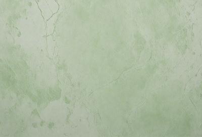 The primary subject of the image is a green marble wall. The setting is a room with a green marble wall as the main focus. The visual style is a close-up of the marble wall, showcasing its texture and color. The colors and mood of the image are predominantly green, giving it a calm and serene atmosphere.